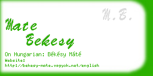 mate bekesy business card