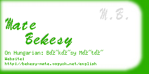 mate bekesy business card
